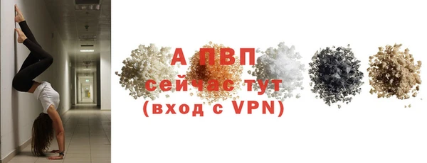 СК Покровск