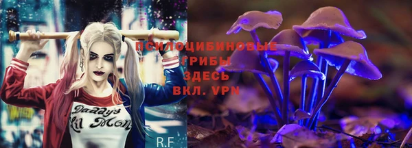 мескалин Чердынь