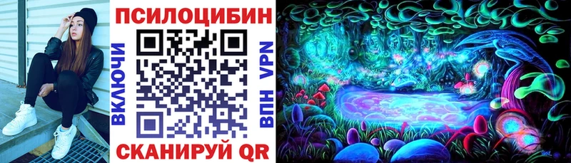 ссылка на мегу ссылки  Великий Устюг  Псилоцибиновые грибы Cubensis 