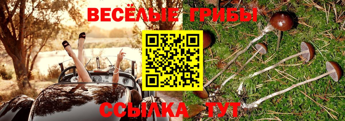 Галлюциногенные грибы Psilocybe  Галлюциногенные грибы Cubensis  Великий Устюг  Вход с VPN 